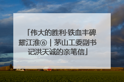 伟大的胜利·铁血丰碑耀江淮⑥｜茅山工委副书记洪天诚的亲笔信